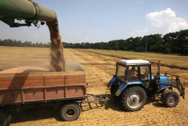 Объем собранного в Челябинской области зерна приближается к полутора миллионам тонн