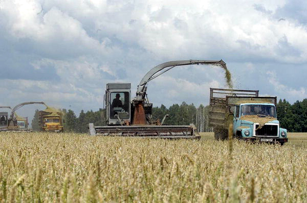Челябинская область соберет полноценный урожай