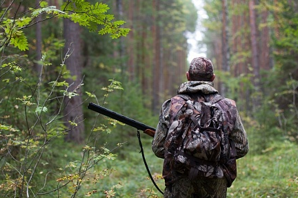 В Краснокамске осудили охотника, который выстрелил в человека, приняв его за кабана