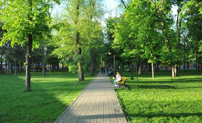 Чтобы защитить «зеленые легкие» города, в Челябинске создадут реестр парковых зон