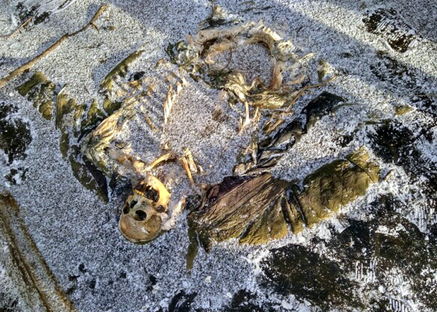 В Перми прохожие нашли вмерзшие в лед останки человека