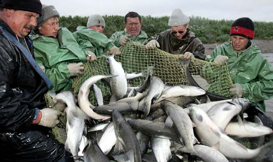 Чтобы выполнить губернаторский план по рыбе, озера в Челябинской области сдадут в аренду