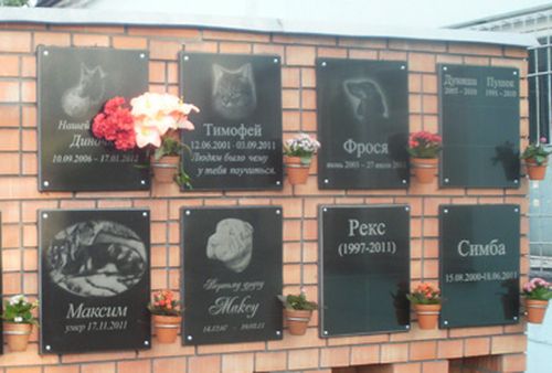 В Челябинске появится крематорий для животных