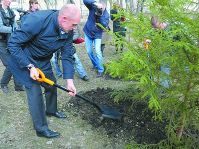 В Челябинске высадят 15 тысяч деревьев