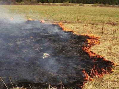 В Челябинской области пожары тушат в долг