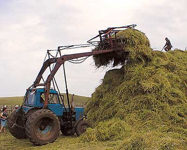 Заготовка кормов в Челябинской области из-за дождей продвигается с трудом