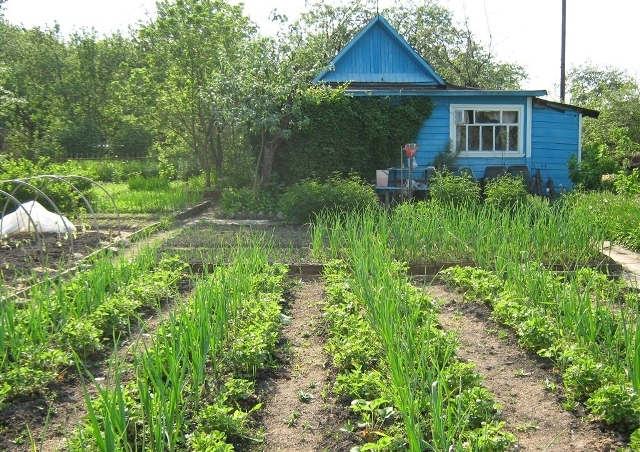 В рамках сельхозпереписи в Челябинске уже переписали 45 процентов садовых участков 