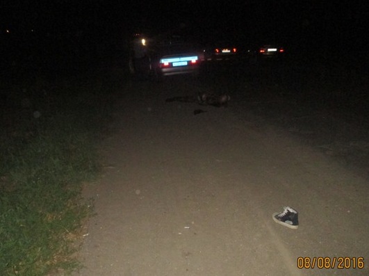 Пешеходов, жителей Казахстана, сбил автомобиль в Увельском районе