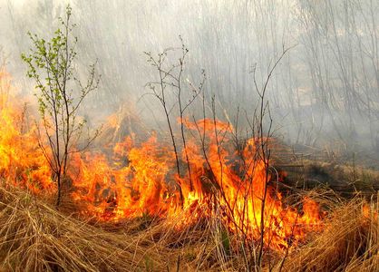 В Челябинской области начались травяные пожары