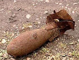 В болоте села Копанцево Увельского района нашли бомбу