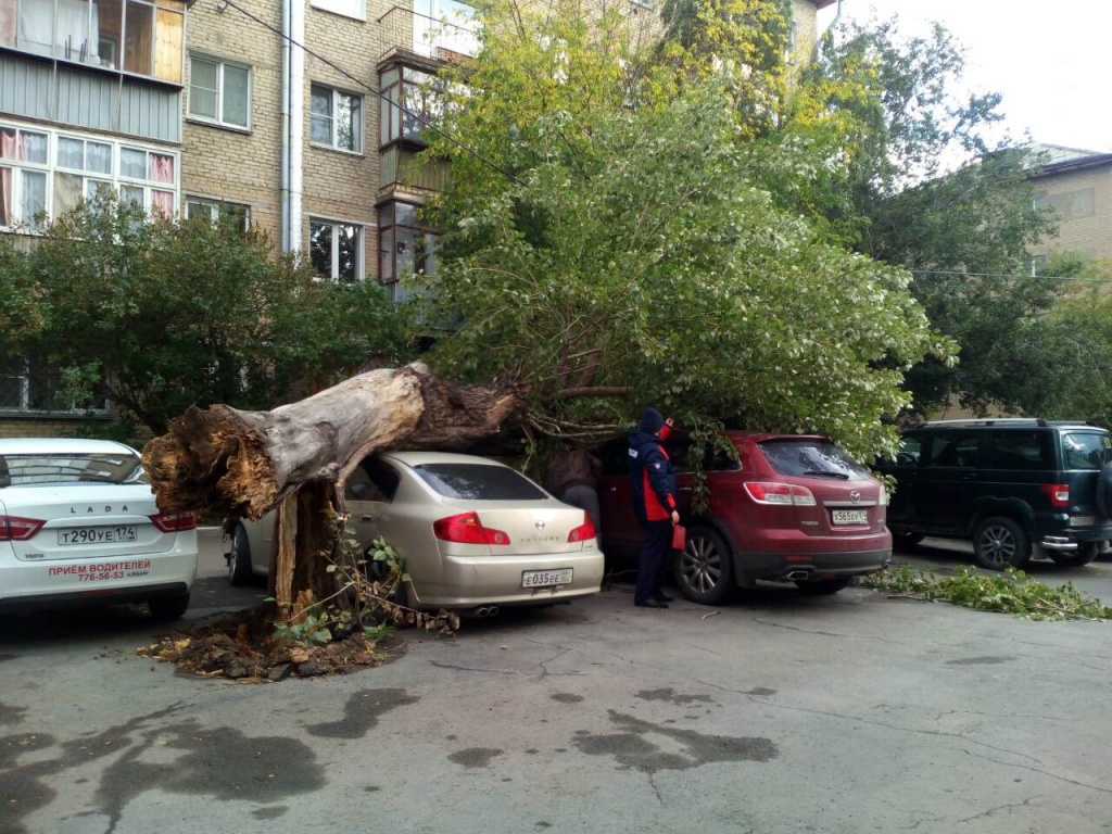 Как Южный Урал пережил последствия урагана. Фотоподборка