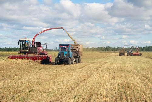 Предприятия Чебаркульского района завершают закладку кормов на зиму