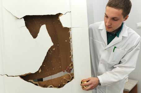 В Челябинске на рабочем месте избили врача-травматолога