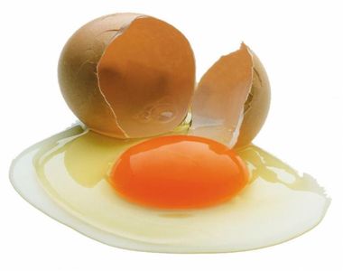О чем нужно знать при покупке куриных яиц