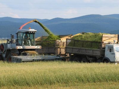 В Челябинской области планируют ускорить заготовку кормов