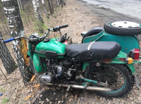 В Курганской области мотоциклист погиб, врезавшись в дерево