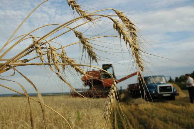 Южноуральские аграрии в ожидании медведевских миллиардов