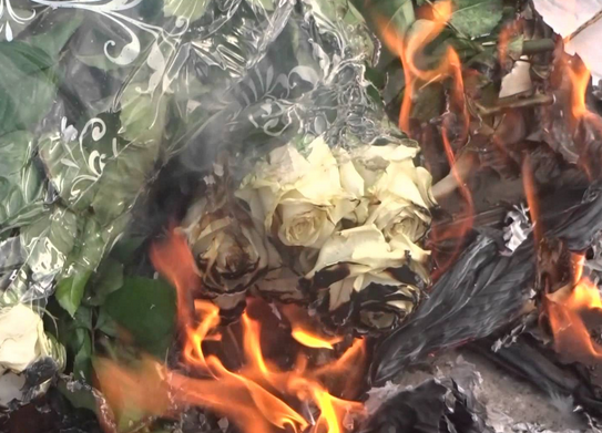 В Челябинске сожгли партию зараженных цветов