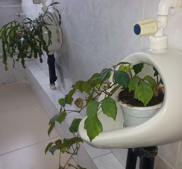 На этой неделе блогеры дают советы коммунальщикам