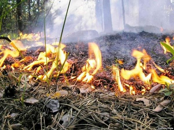 На Южном Урале продолжаются лесные пожары