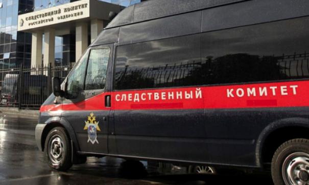 По факту исчезновения двух школьниц в Челябинской области возбуждено уголовное дело
