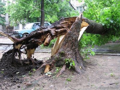 В минувшие выходные в Челябинске бушевал ураган