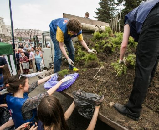 Челябинская администрация закупит 100 тысяч деревьев для озеленения города