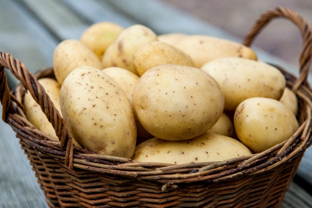 На Южном Урале немцы могут построить завод по переработке картофеля
