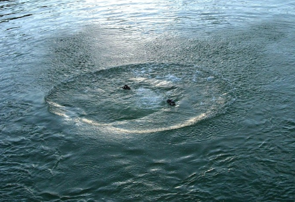 В Прикамье утонул нетрезвый мужчина