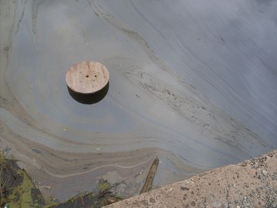 Роспотребнадзор Челябинской области обнародовал результаты анализа проб воды в реке Миасс