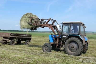 Хозяйства Челябинской области усиливают заготовку кормов