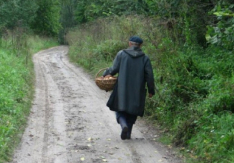 Пропавшего в Перми грибника нашли живым