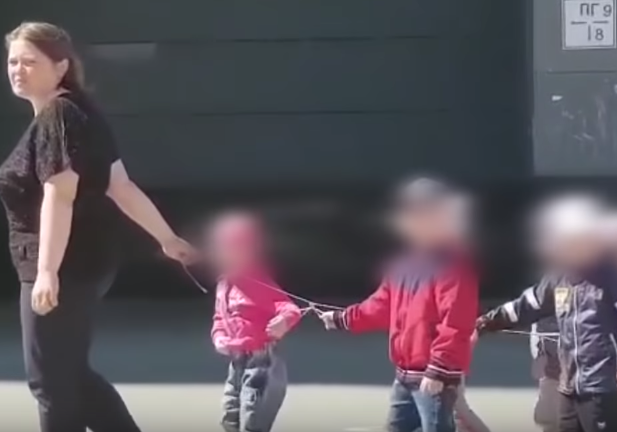 Жительница Краснодара выводит гулять своего ребенка на поводке | Живая Кубань