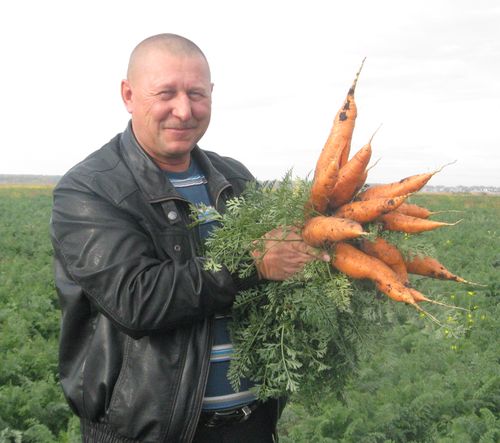 Выращивать овощи в промышленных масштабах без «химии» и по-европейски красиво можно и в России