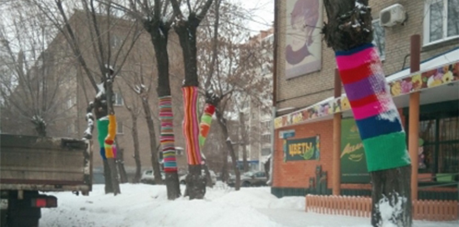 Деревья вдоль дороги одели в вязаные свитеры в Челябинске