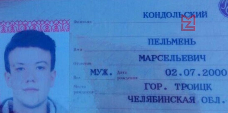 Троицкий Пельмень получил паспорт, поставив в нем подпись в виде пельмешка