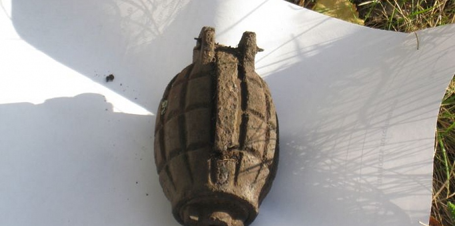 В Троицком районе обнаружили старинную ручную гранату