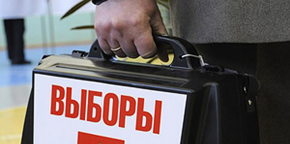В 20 миллионов рублей обойдутся предстоящие выборы региональному бюджету
