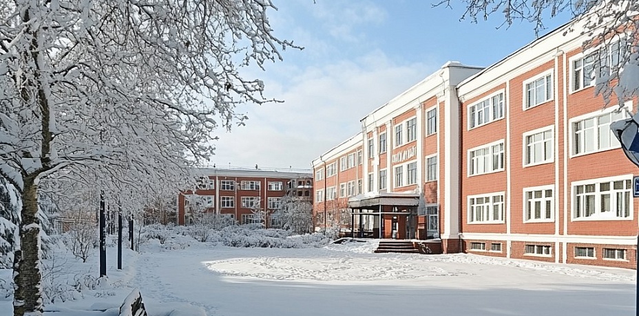 В Челябинской области из-за гриппа на карантин закрыли 53 школы