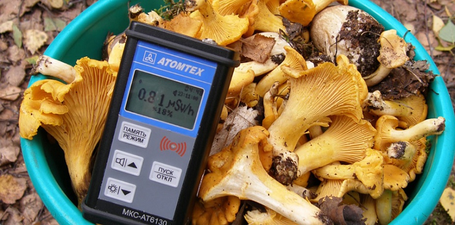 Южноуральские грибы просят проверять на радиацию