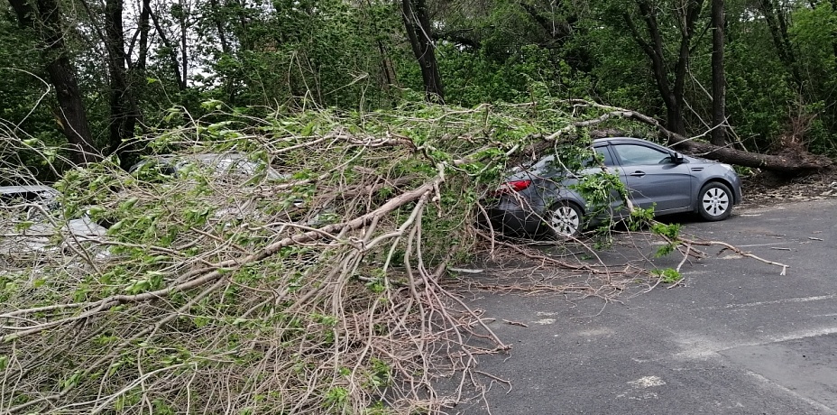Ронял деревья и срывал крыши. Последствия урагана на Южном Урале. Фото и видео 