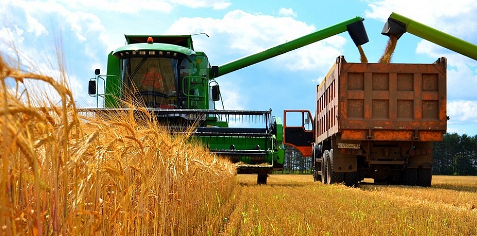 На Южном Урале уже намолотили полмиллиона тонн зерна