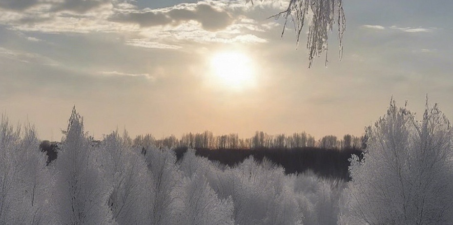 В Челябинском городском бору установили огромный "ресторан" для пернатых