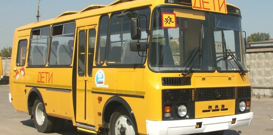 До конца года парк школьных автобусов в Челябинской области пополнят 79 новых машин