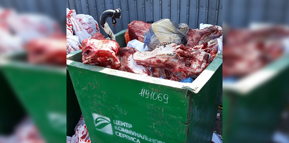 Головы крупных животных обнаружили в мусорных контейнерах в Челябинске