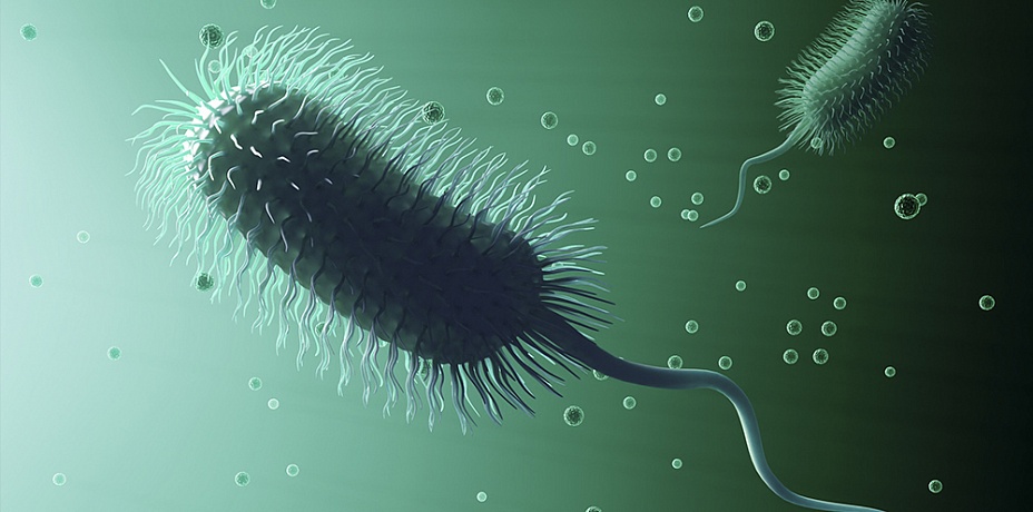 Об опасной мутировавшей кишечной бактерии рассказали ученые