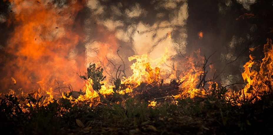 Более 30 пожаров: в Челябинской области из-за небывалой жары начали гореть леса 