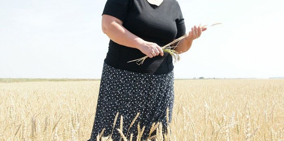 В Челябинской области продолжается уборка урожая