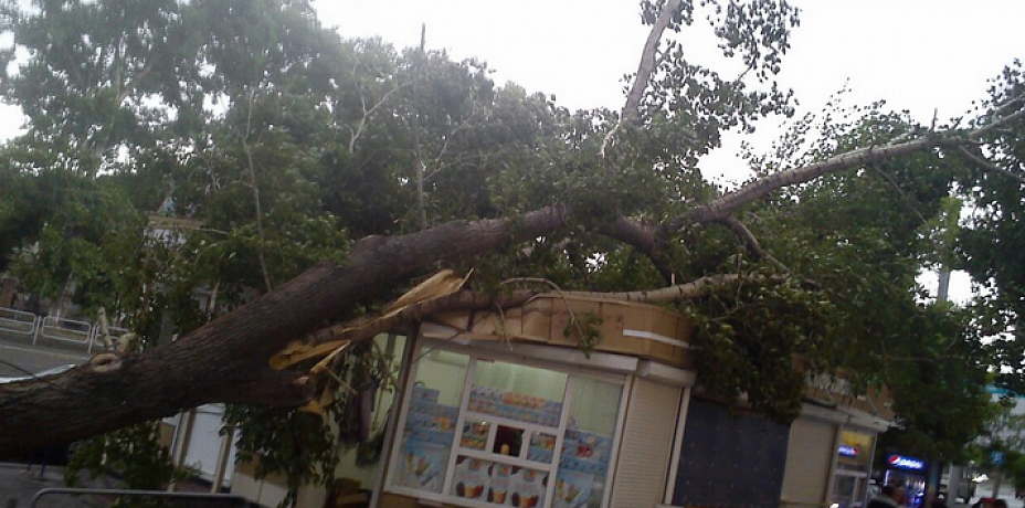 В Челябинске ураган повалил деревья и снес крыши домов