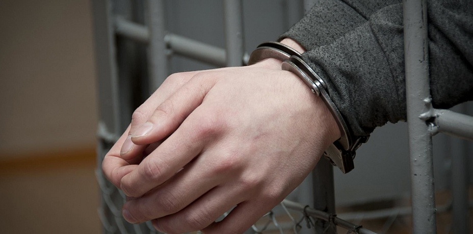 Подростку грозит до 20 лет тюрьмы за изнасилование школьницы